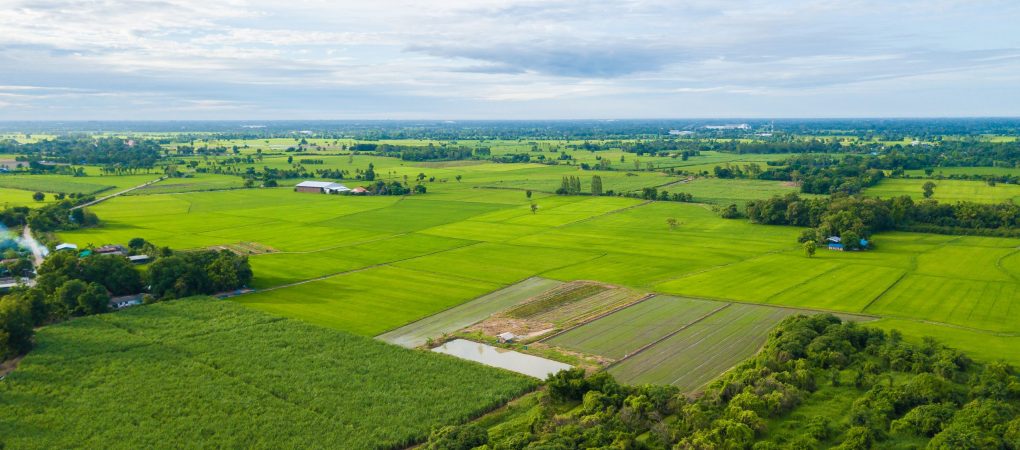 Aerial view of Fields with various types of agriculture in rural Thailand SamChuk, SuphanBuri , Thailand